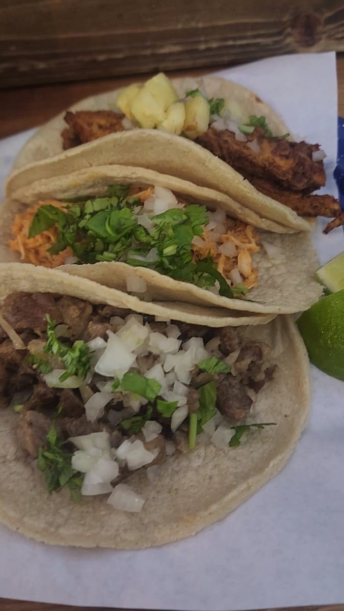 El Nopal Taqueria, photo 3
