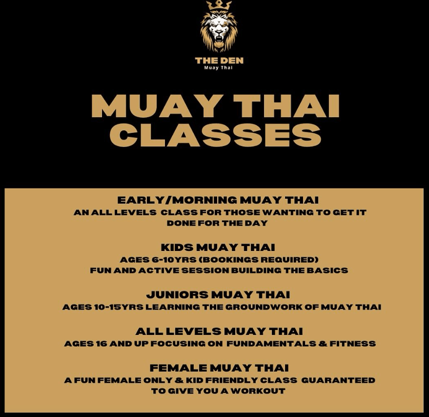 The Den Muay Thai Sarina, photo 3