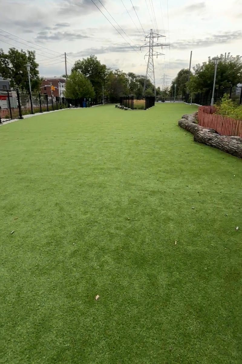 Geary Avenue Dogs Off-Leash Area