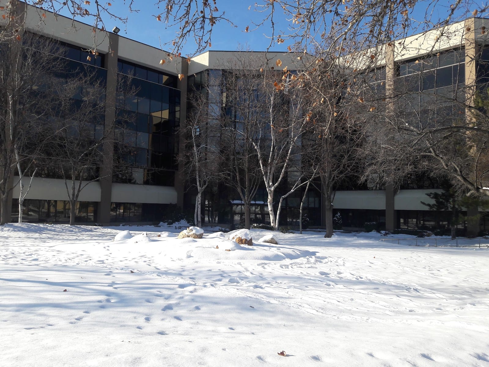 Midtown Clinic, photo 2