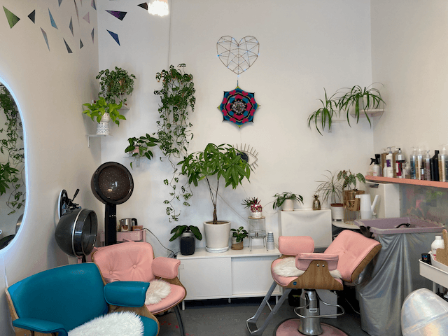 Heartzilla Salon