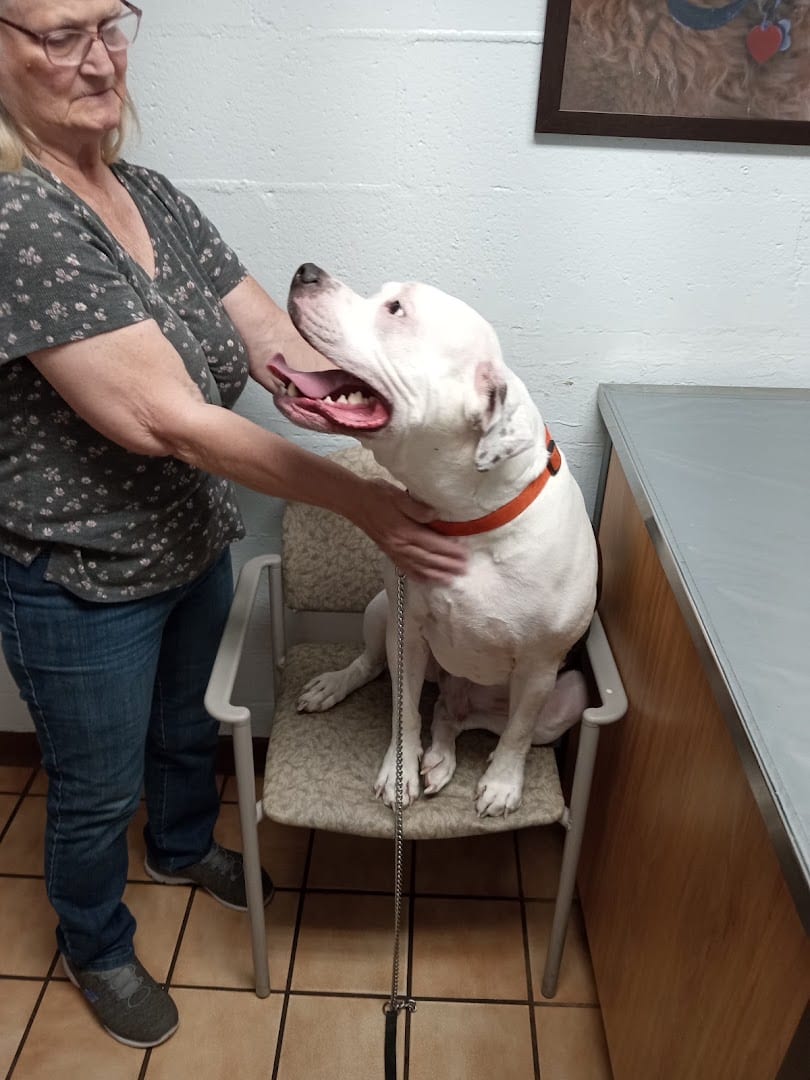 Dickman Road Veterinary Clinic, photo 3