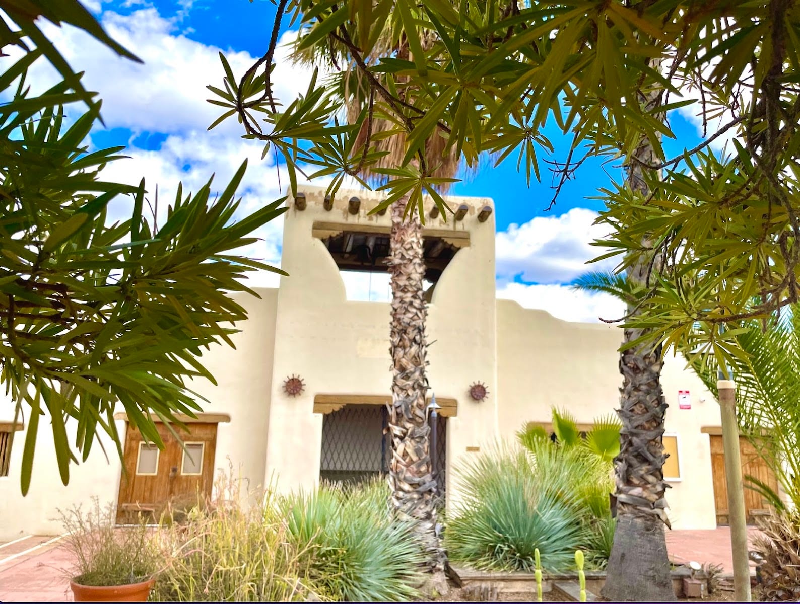 Yoga Oasis