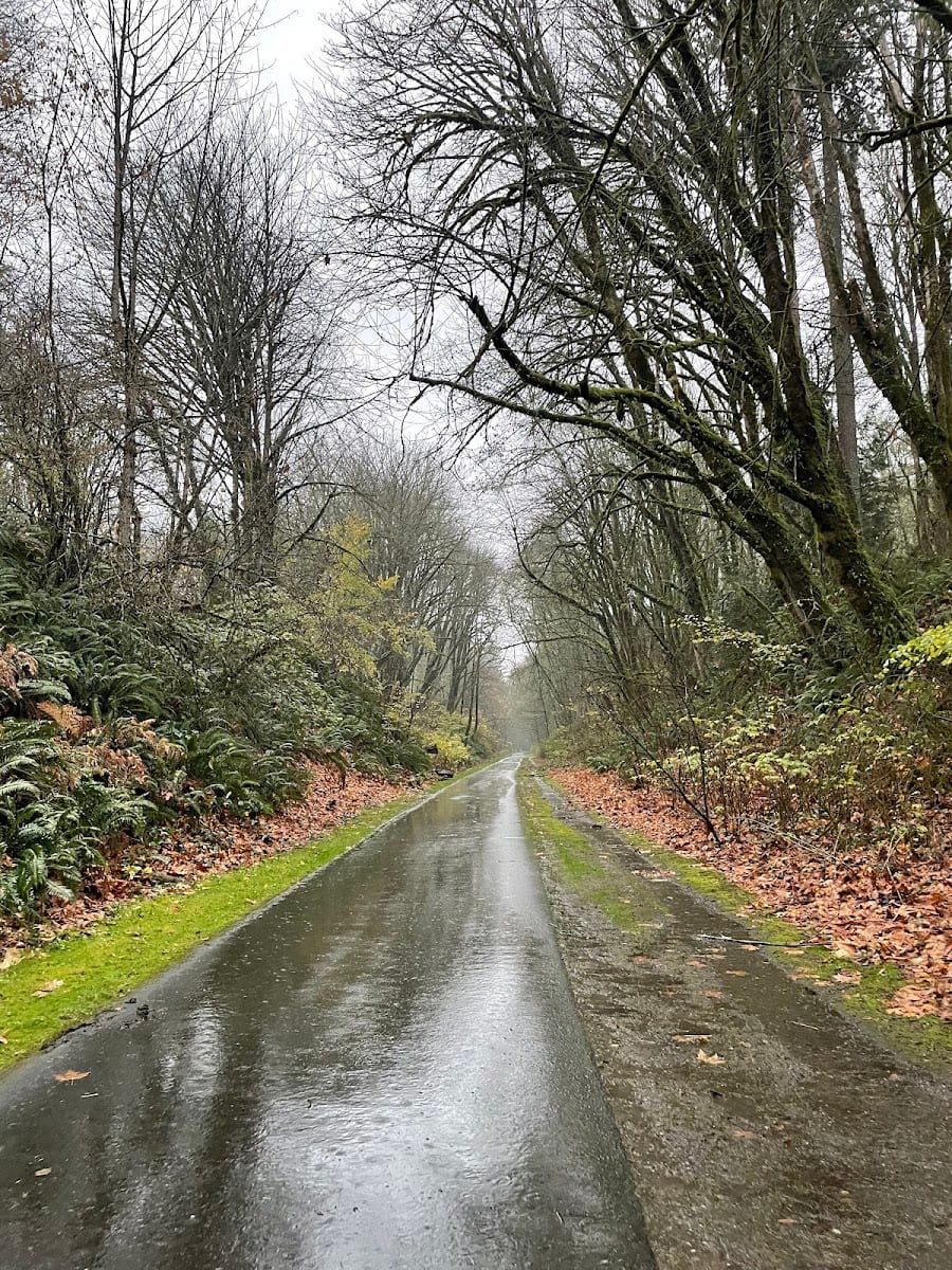 Karen Fraser Woodland Trail - Eastside Trailhead