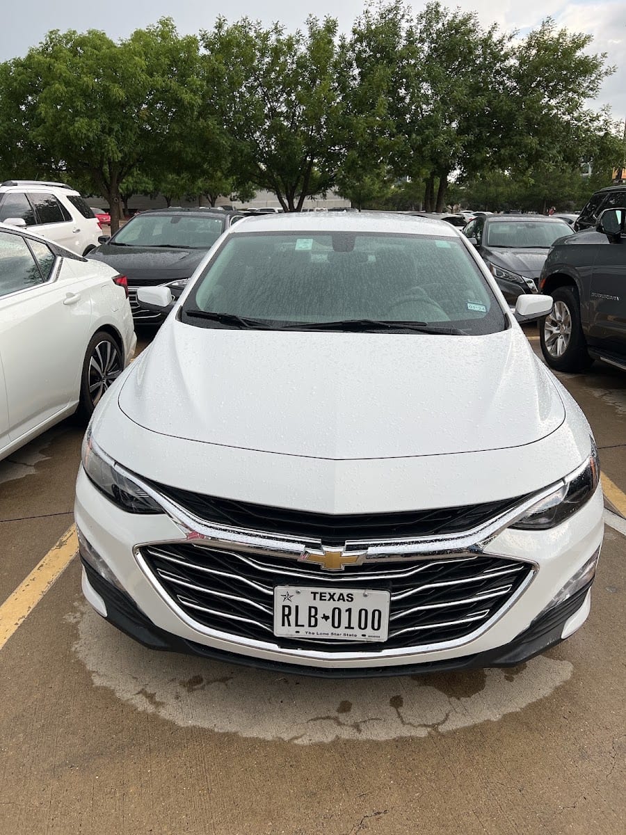 Avis Car Rental