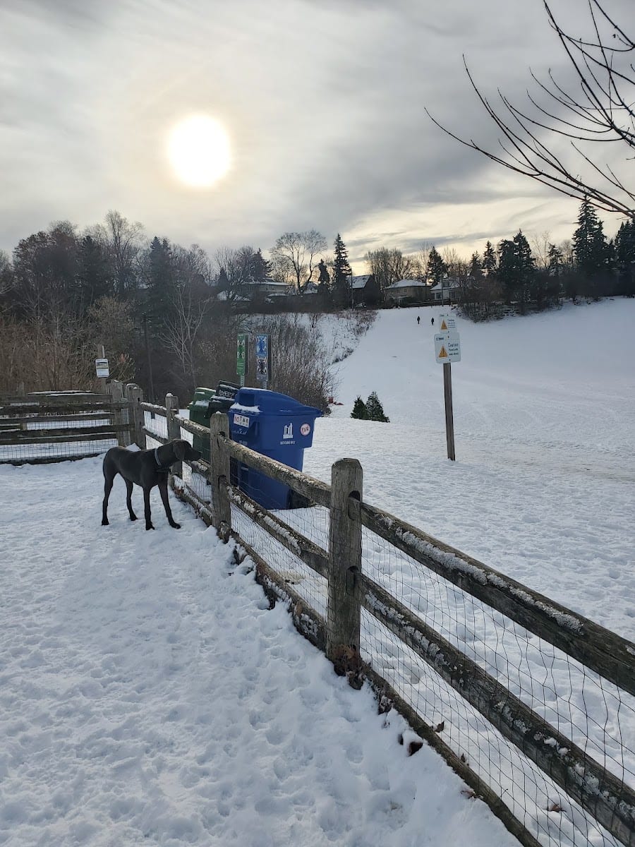 Cedarvale Park Dogs Off-Leash Area