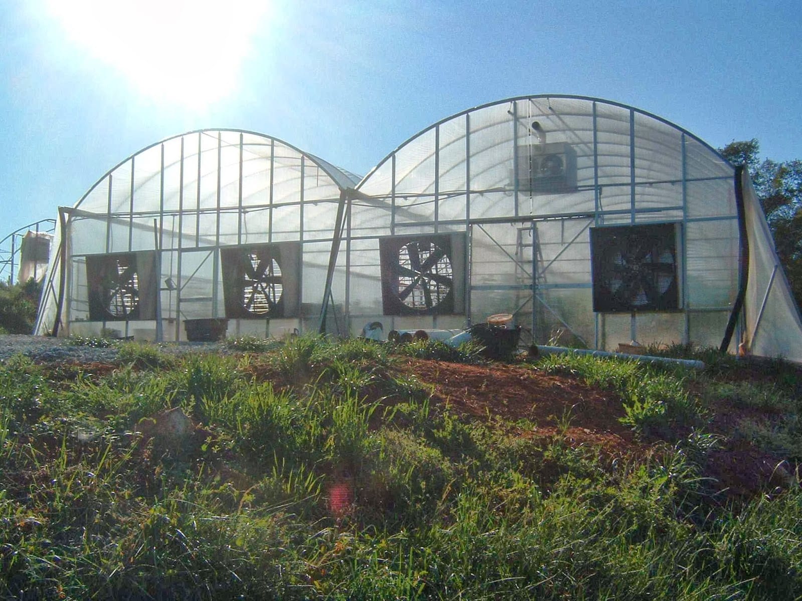Hurricane Creek Farms, photo 2