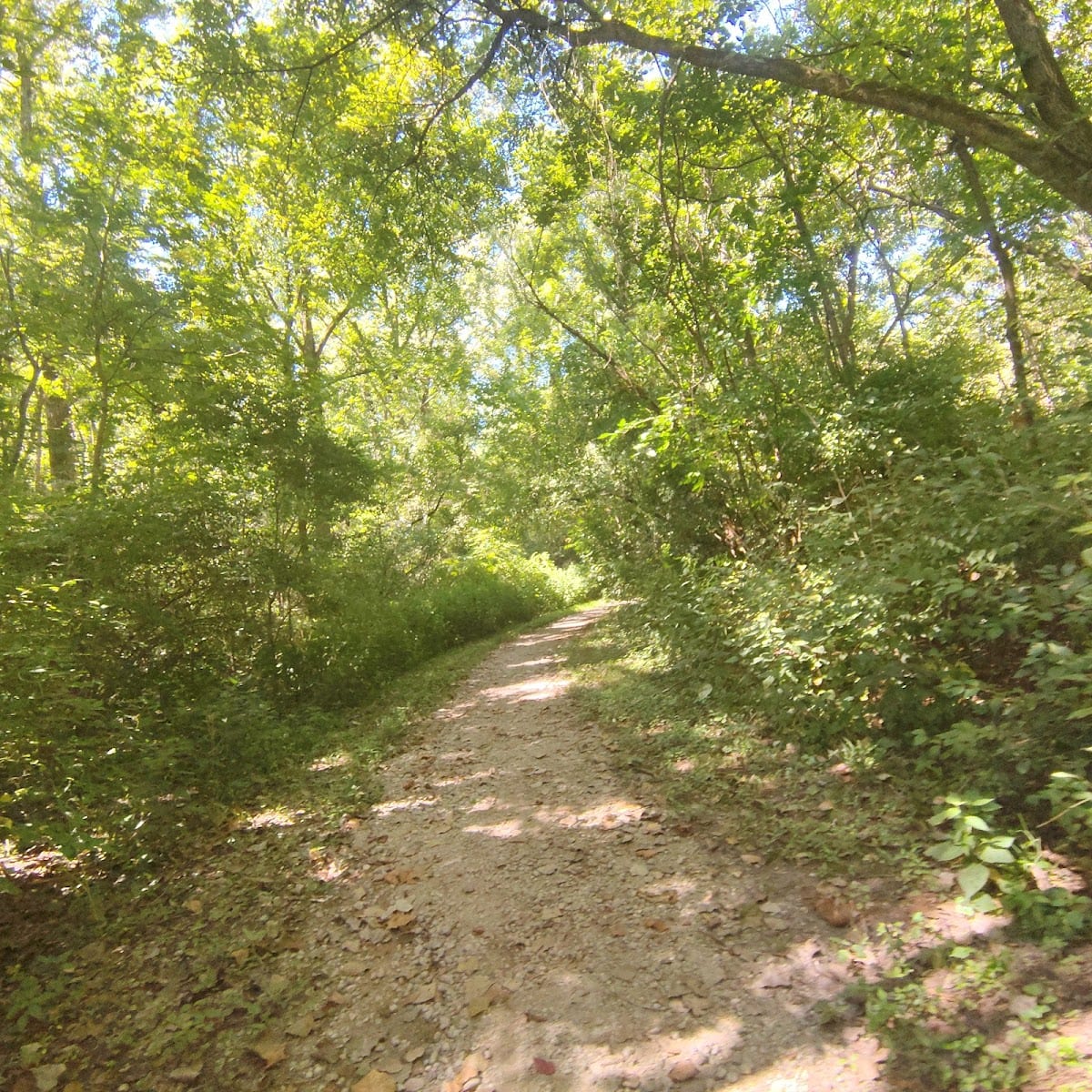 Rangeline Nature Preserve