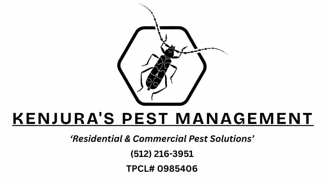 Kenjura's Pest Management, photo 2