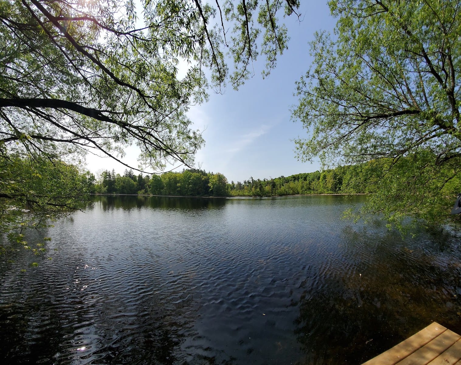 Elgin Mills Greenway