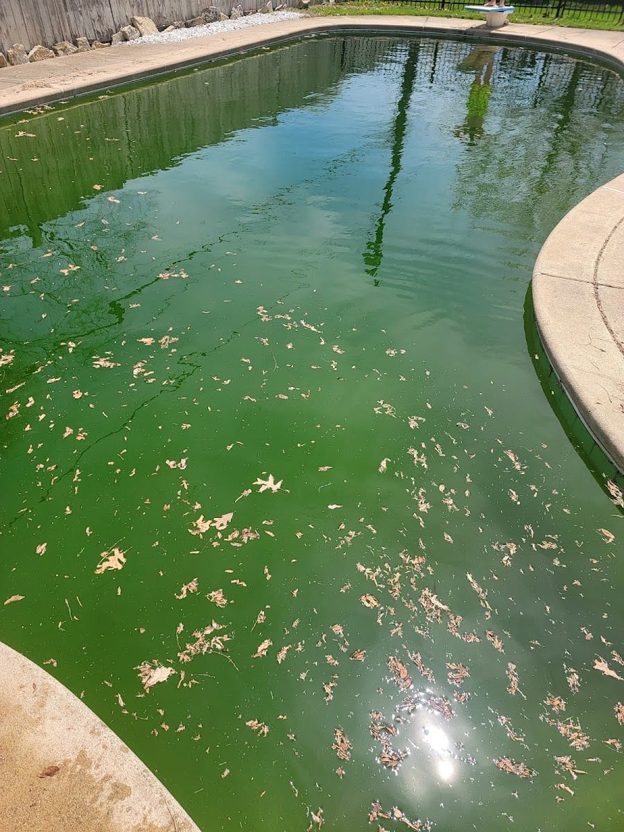 Swim Pools Inc