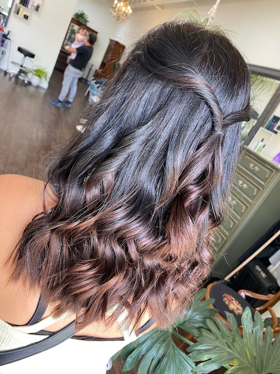 Wallflower Beauty Parlor