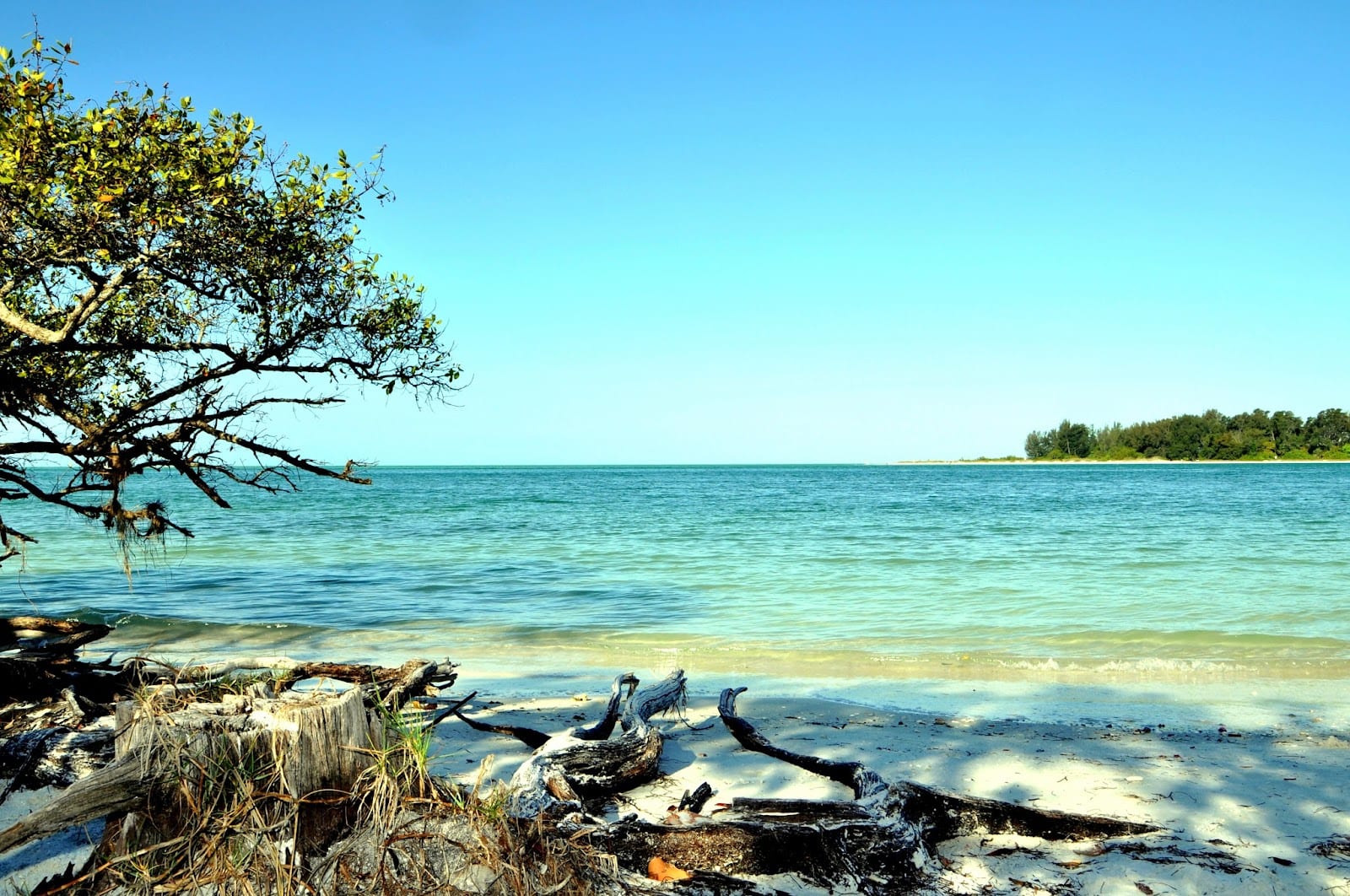 Mark Baumgarten - Preferred Shore Real Estate, photo 2