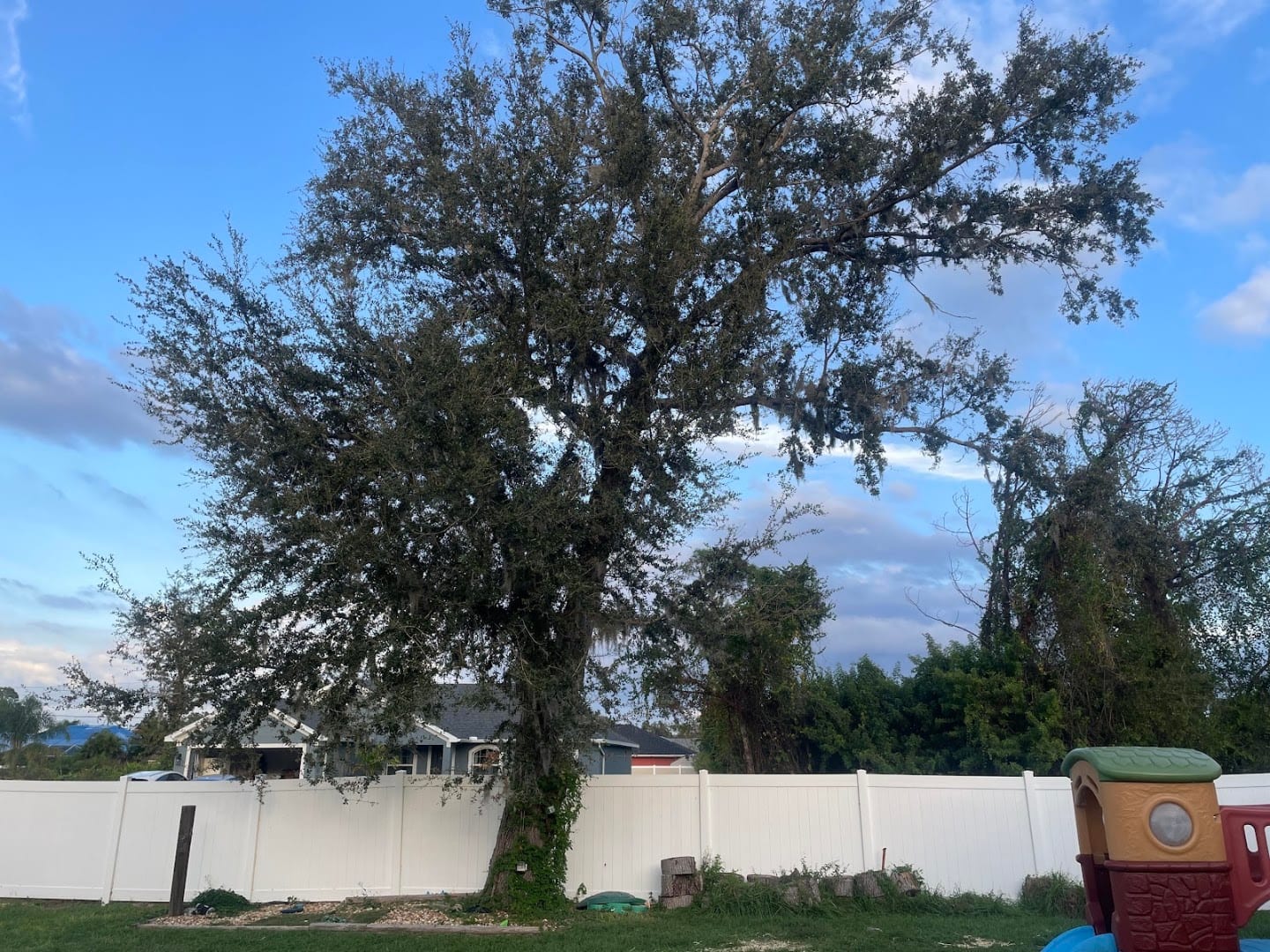 Aces Tree Service, photo 3