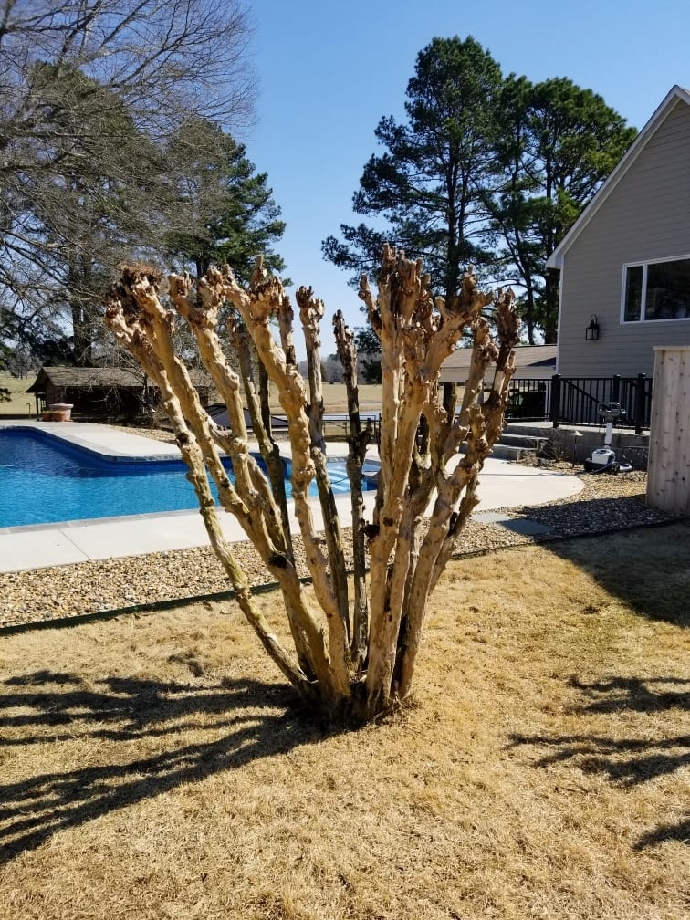 J&A Landscaping, photo 2