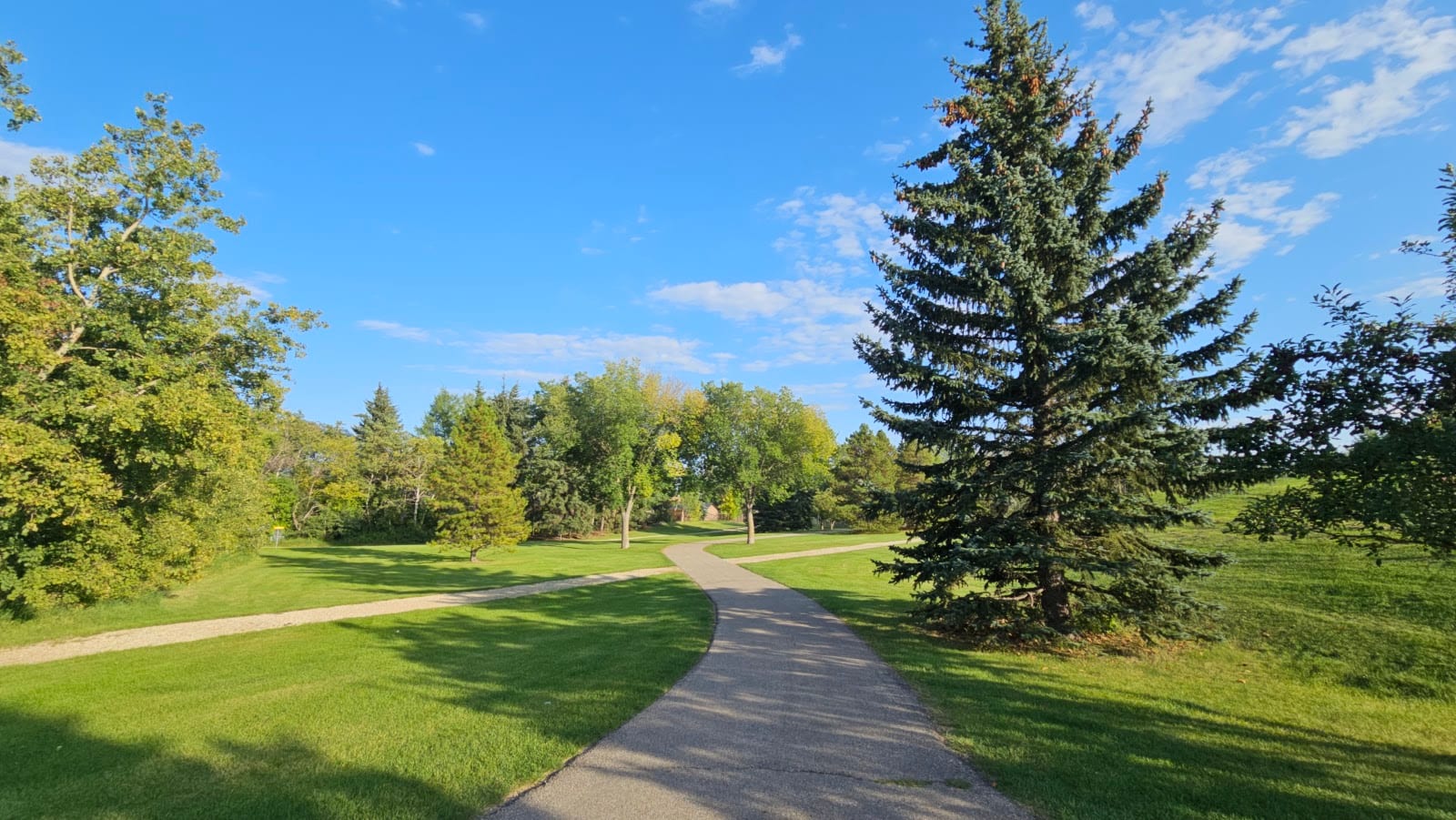 Greengrove Park