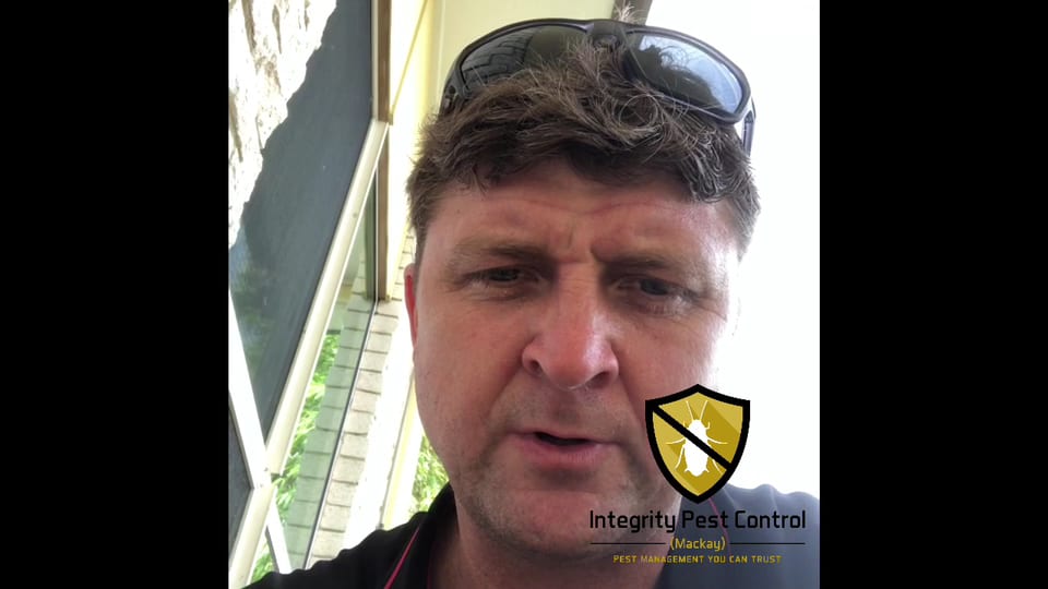 Integrity Pest Control Mackay, photo 3