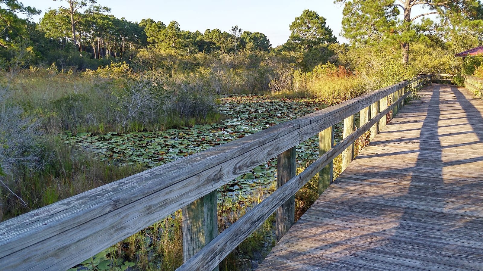 Joe Moody Harris Park, photo 3