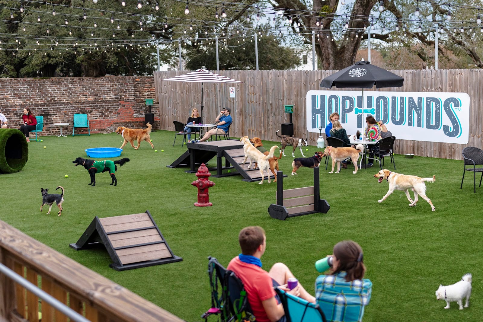 HopHounds Brew Pub & Dog Park, photo 3