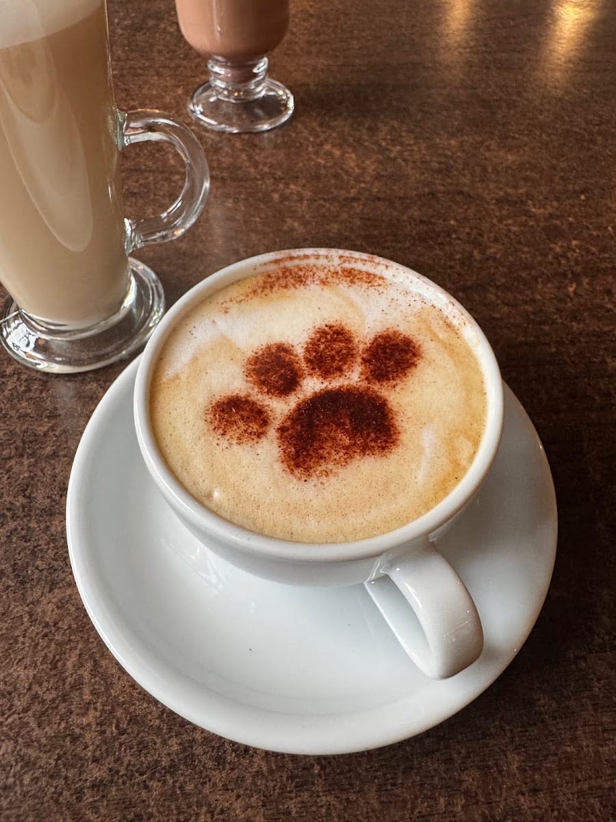 The Cat House - Norwich