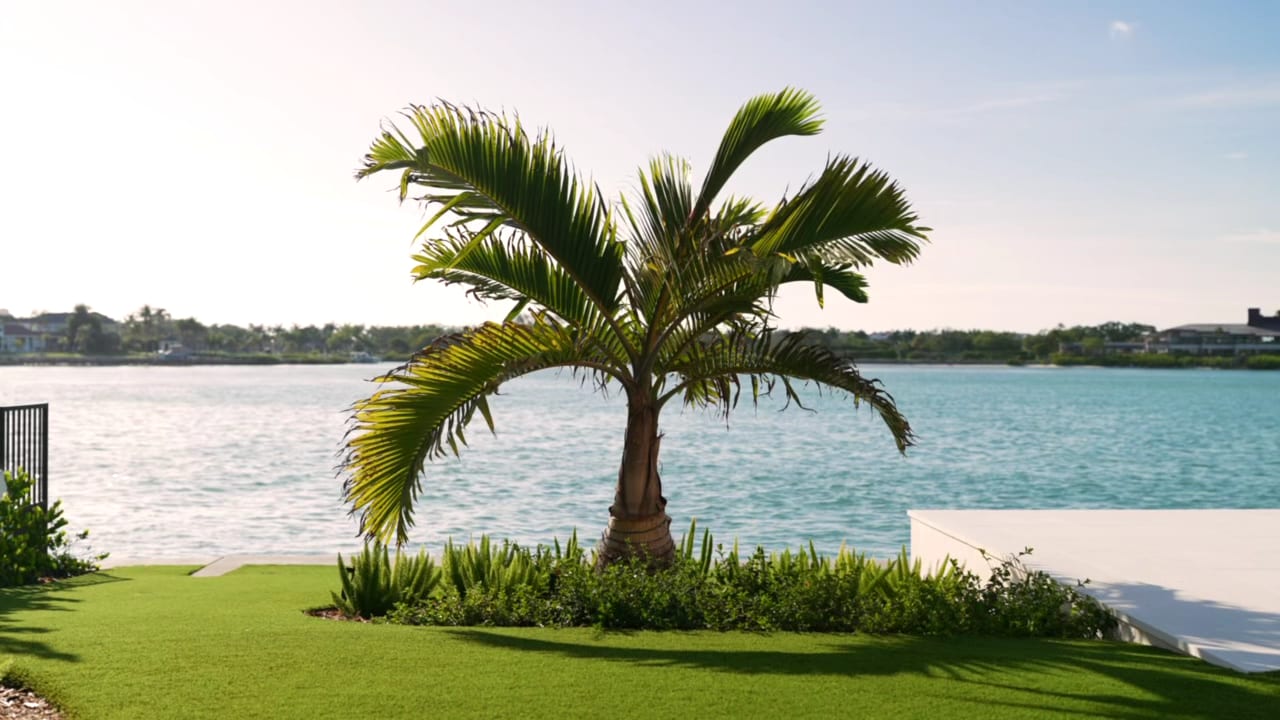 Plant Source Landscape, photo 4