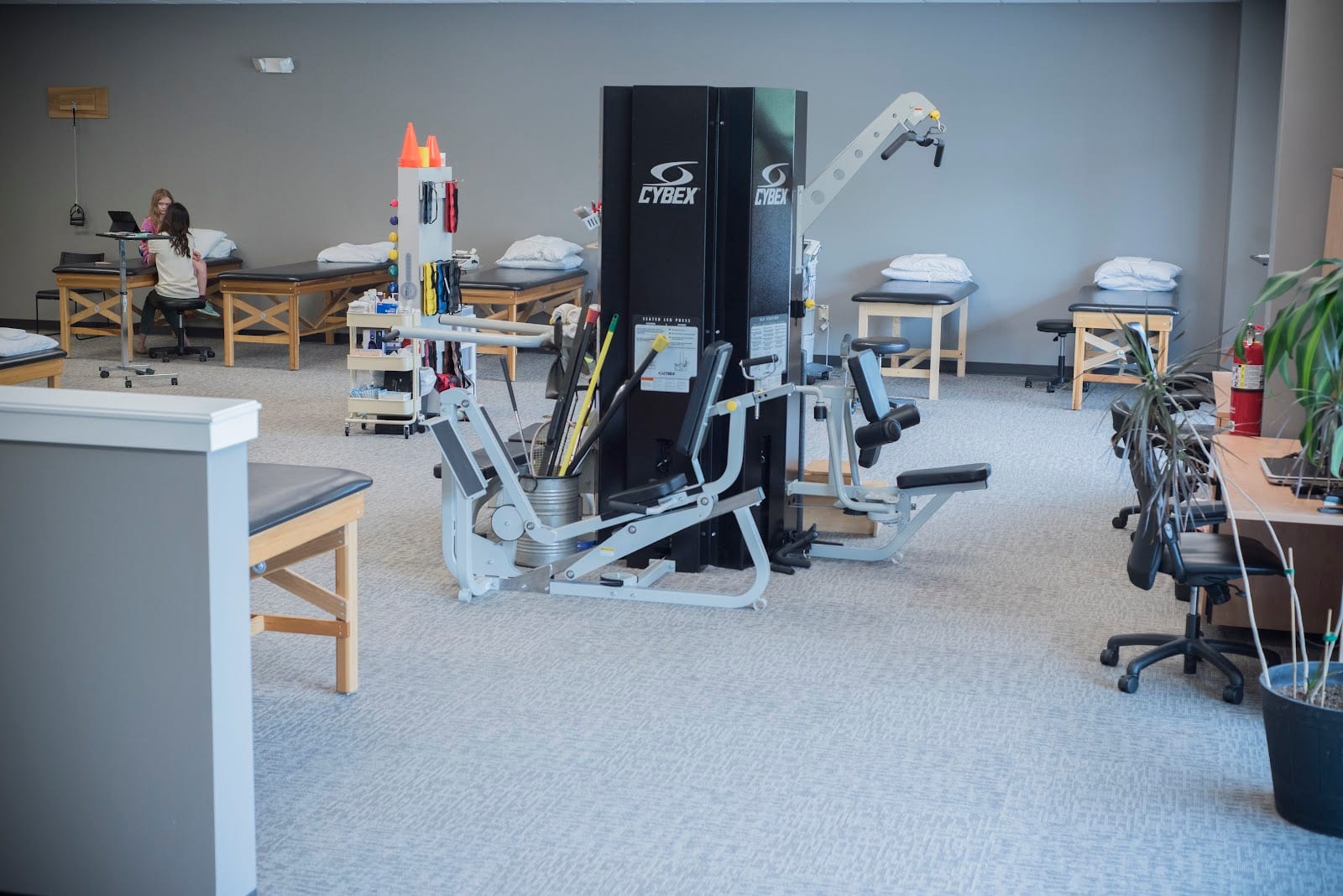 Johnson and Hayes Physical Therapists