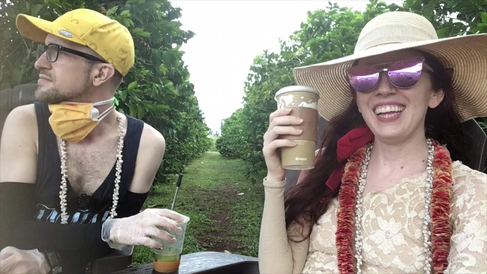 Green World Coffee Farm, photo 2