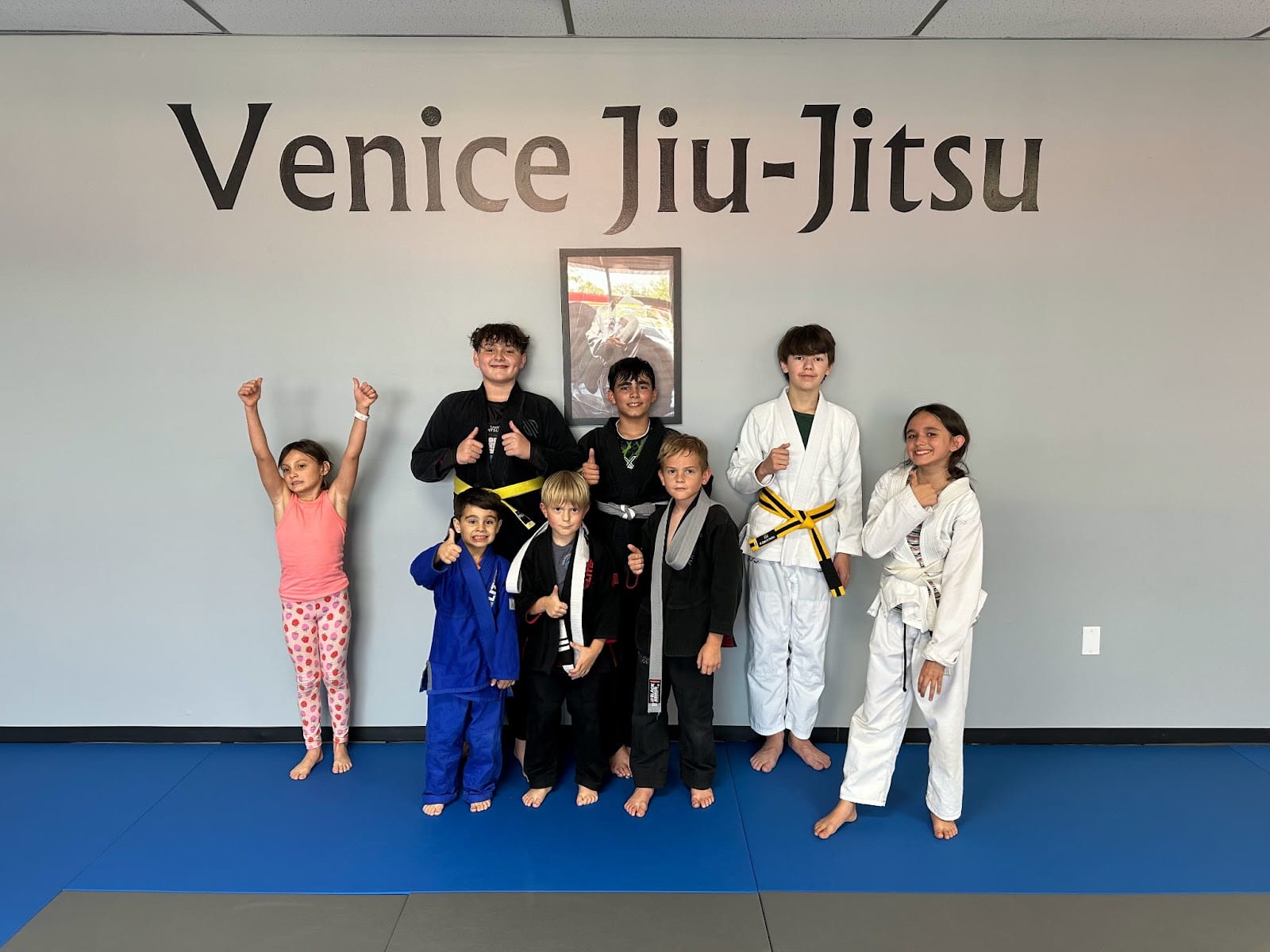 Venice Jiu-Jitsu, photo 4