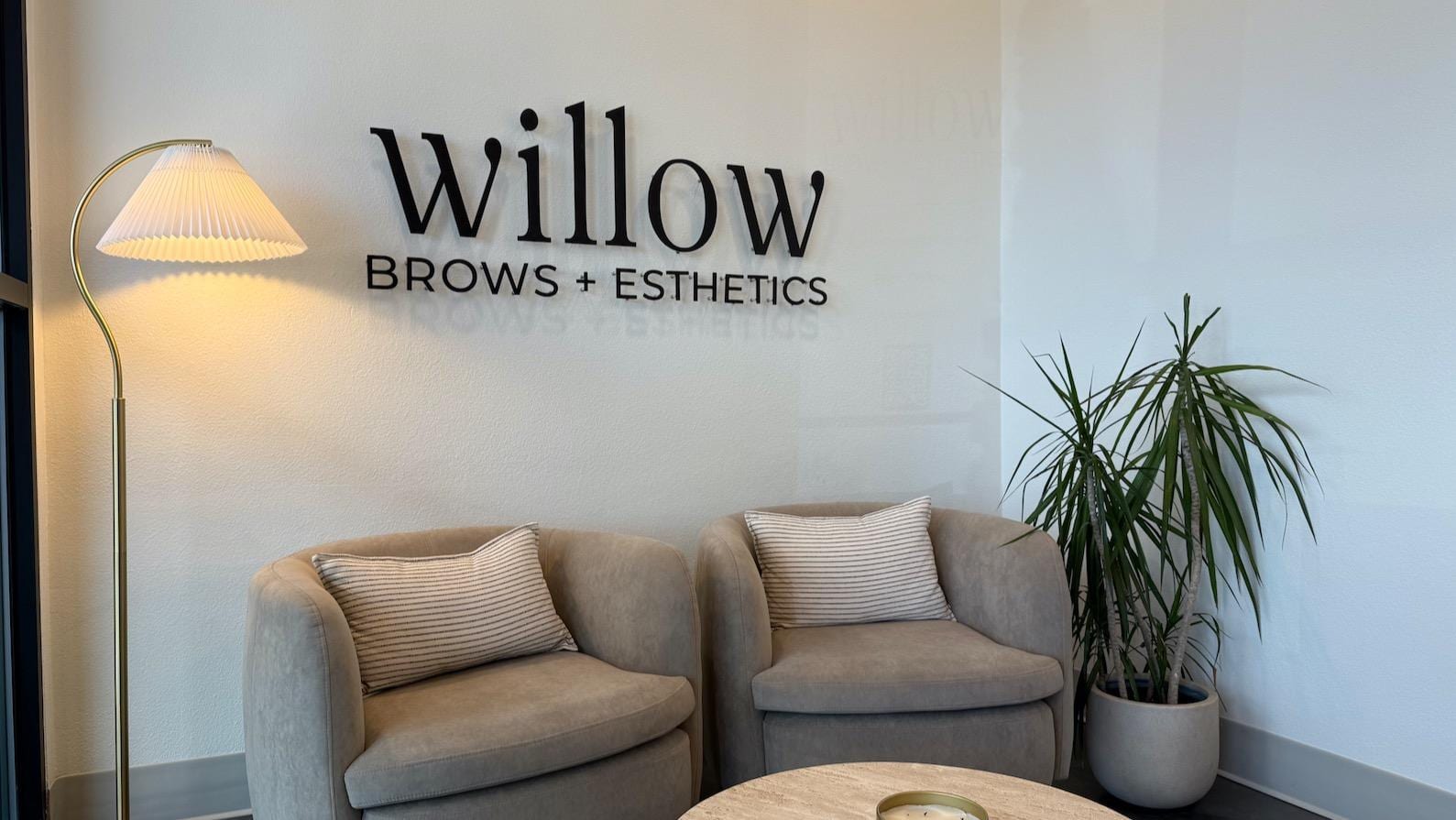 Willow Brows + Esthetics, photo 2