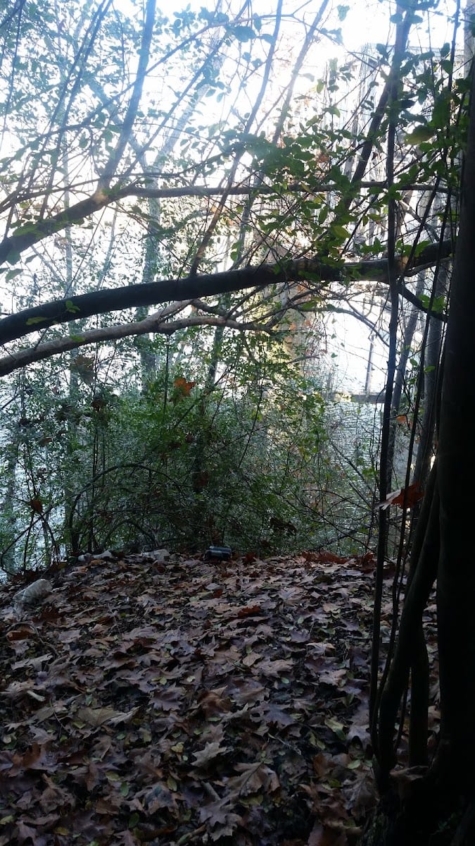 Arkansas Heritage, photo 2