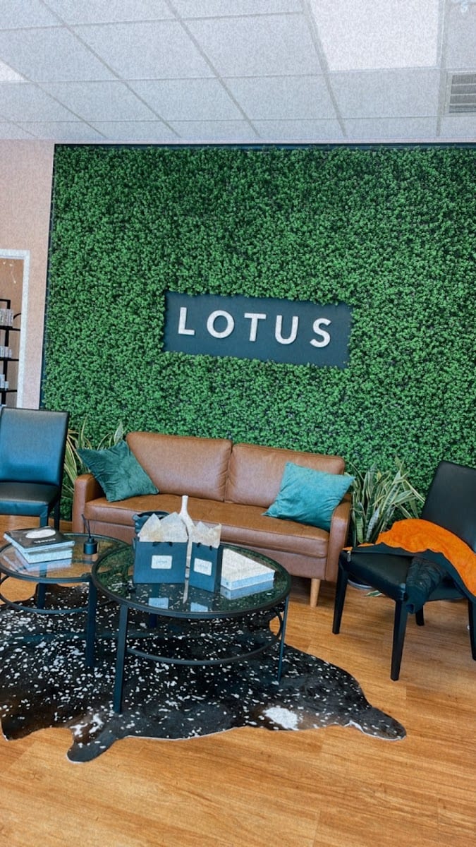 Lotus Skin + Brow
