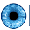 DeShaw Eye