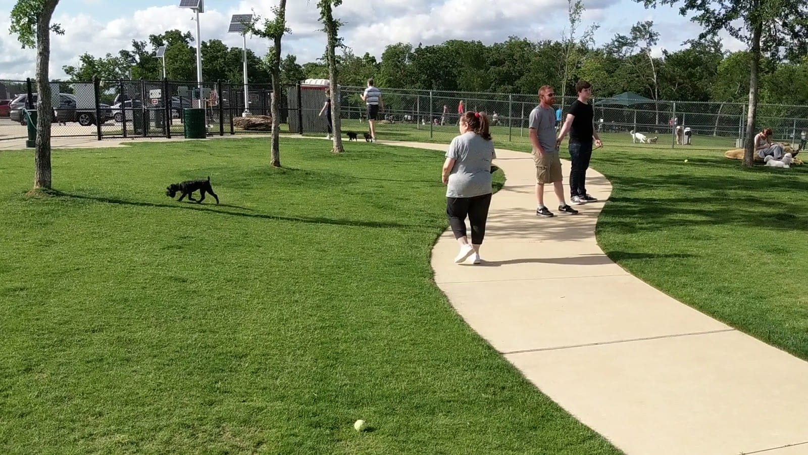 Hound Mound Dog Park, photo 2