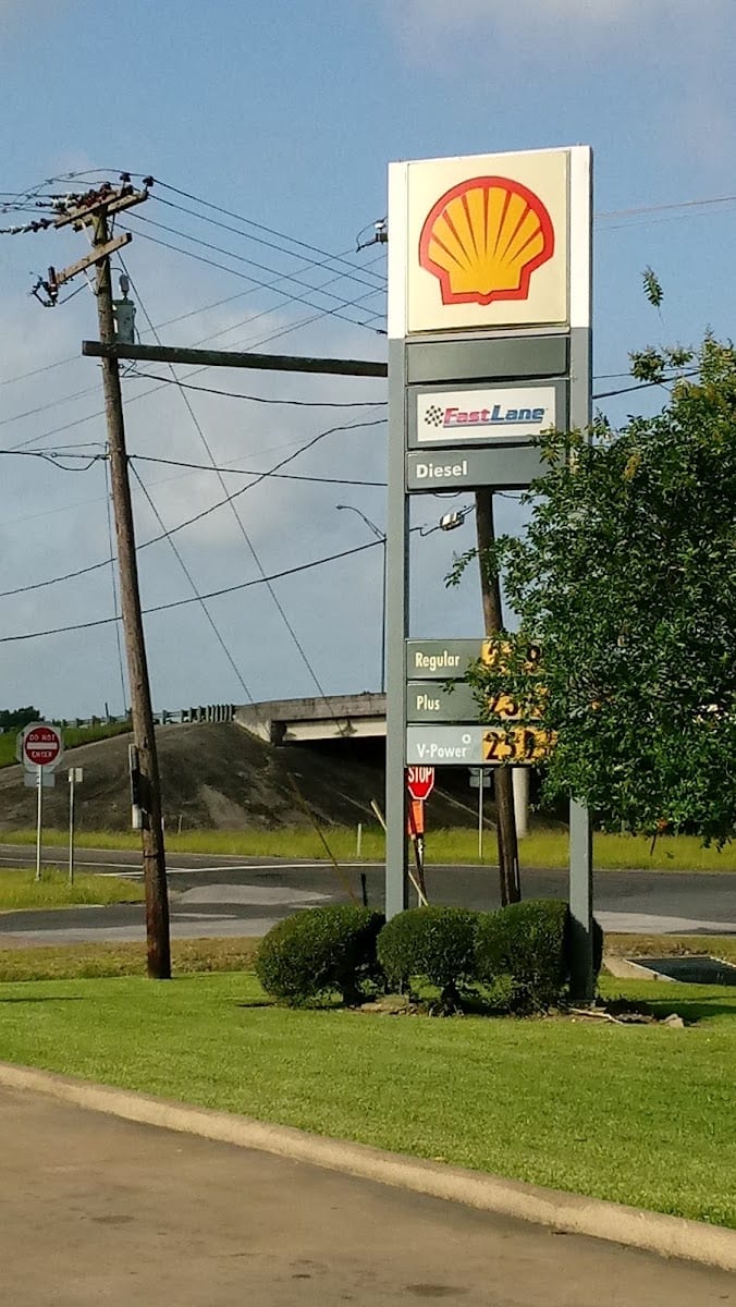 Shell, photo 3