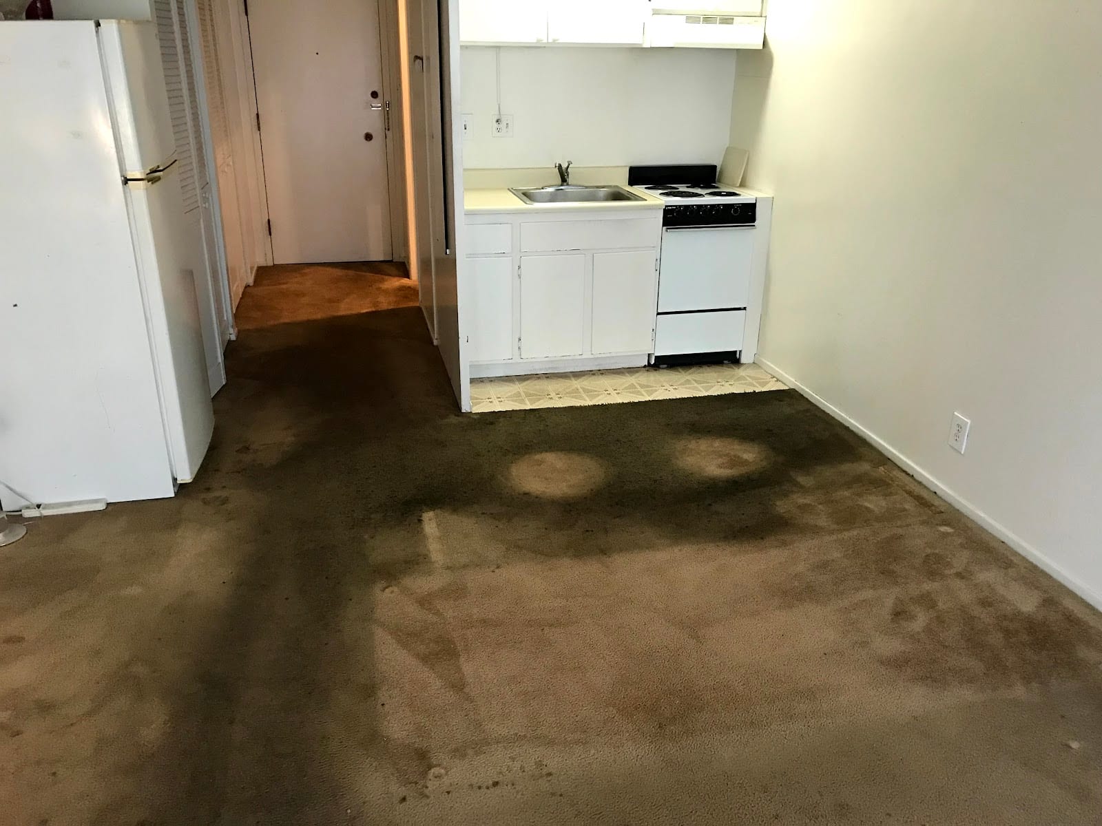 MCS Cleaning Services Inc., photo 3