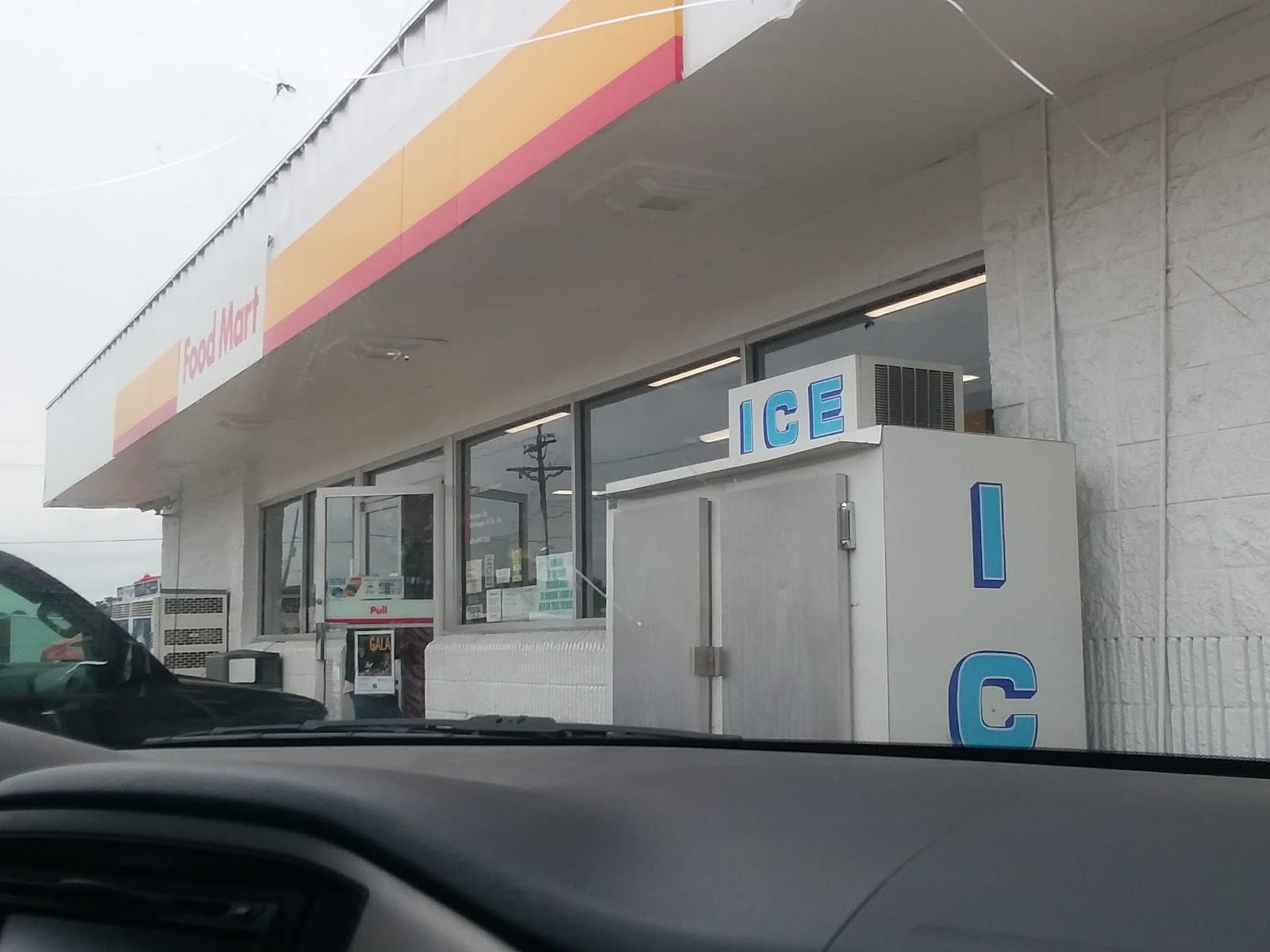 Shell, photo 4