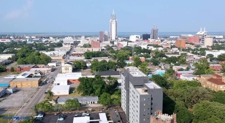 Above it All-downtown, gym, free parking, cruise, Mardi Gras, cozy, stylish