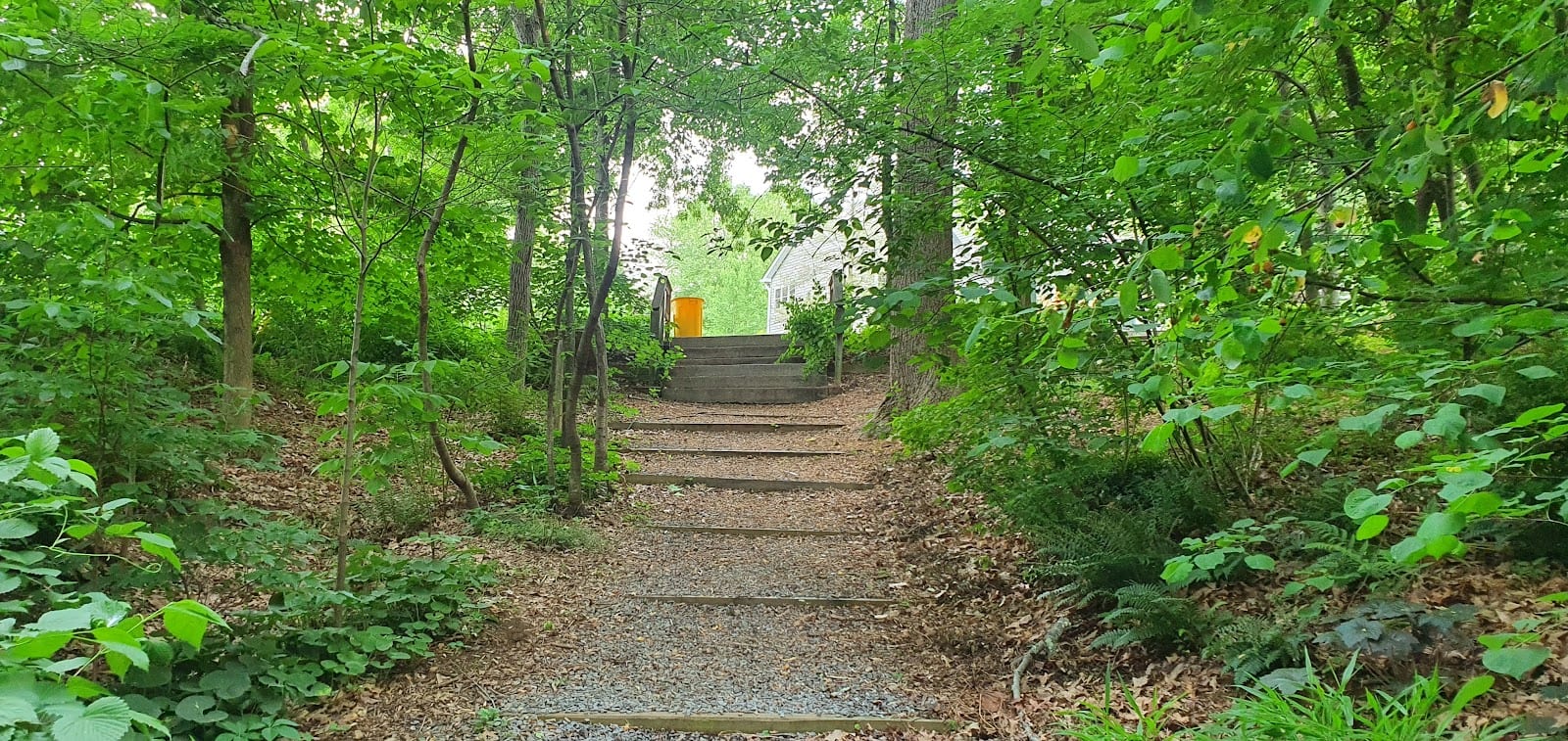 Heineman Park, photo 2