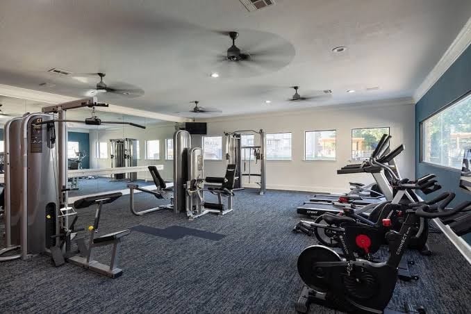 Landing | Spectacular 2BD, Gym