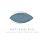 Artisan Eye