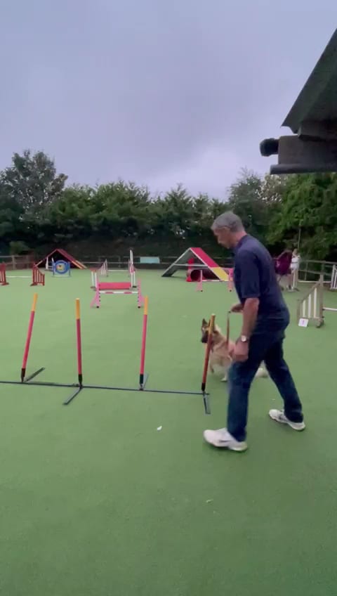 Little Revel End Dog Training and Business Centre, photo 2