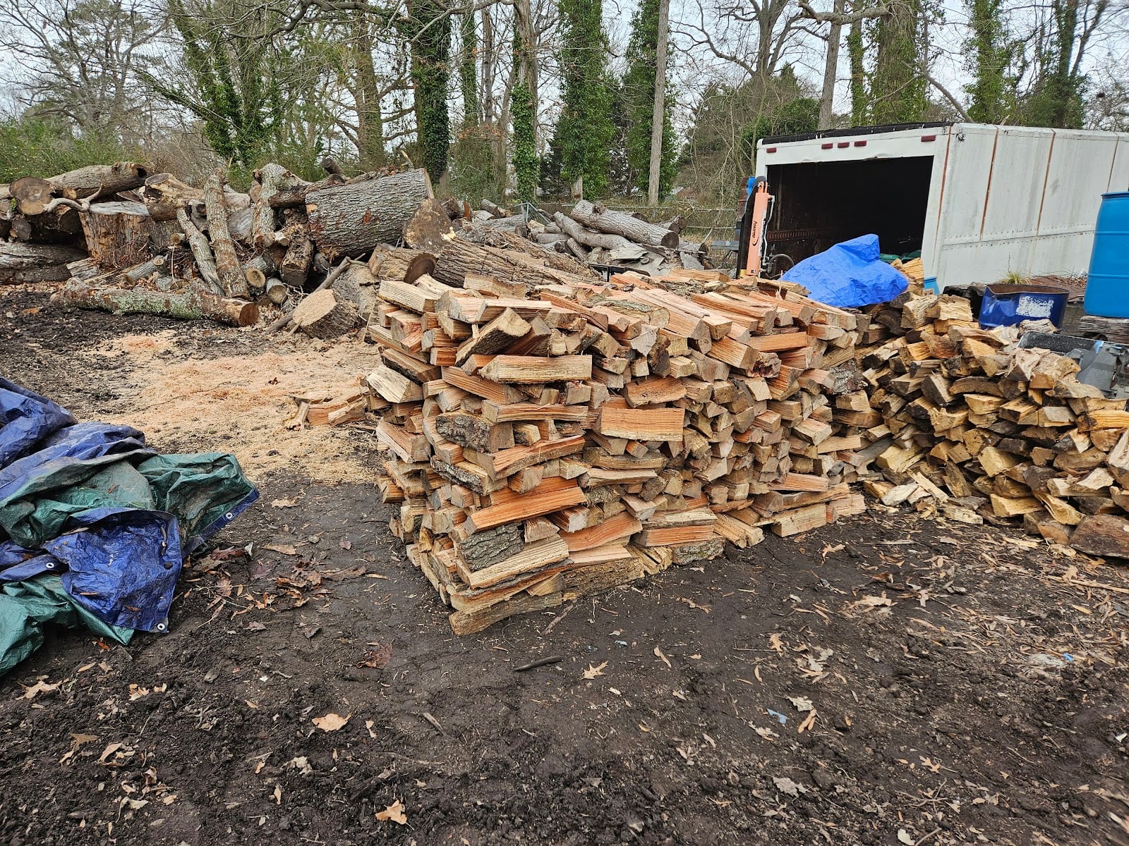 William Rusty Ruskey Tree Service and Stump Removal