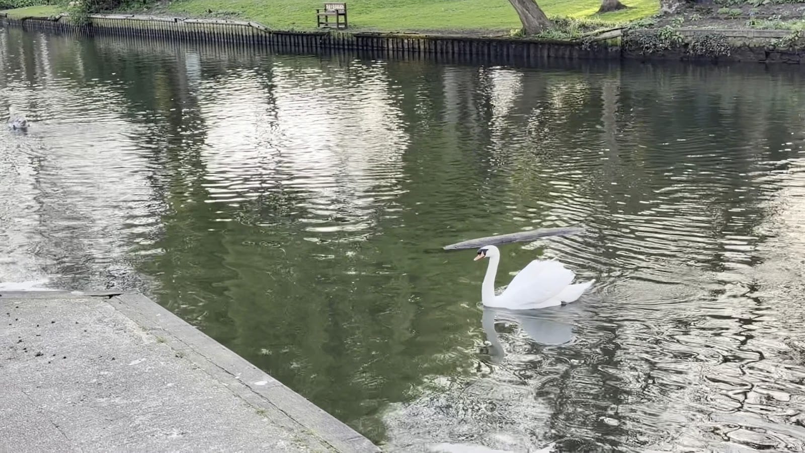 River Wensum, Norwich, photo 2