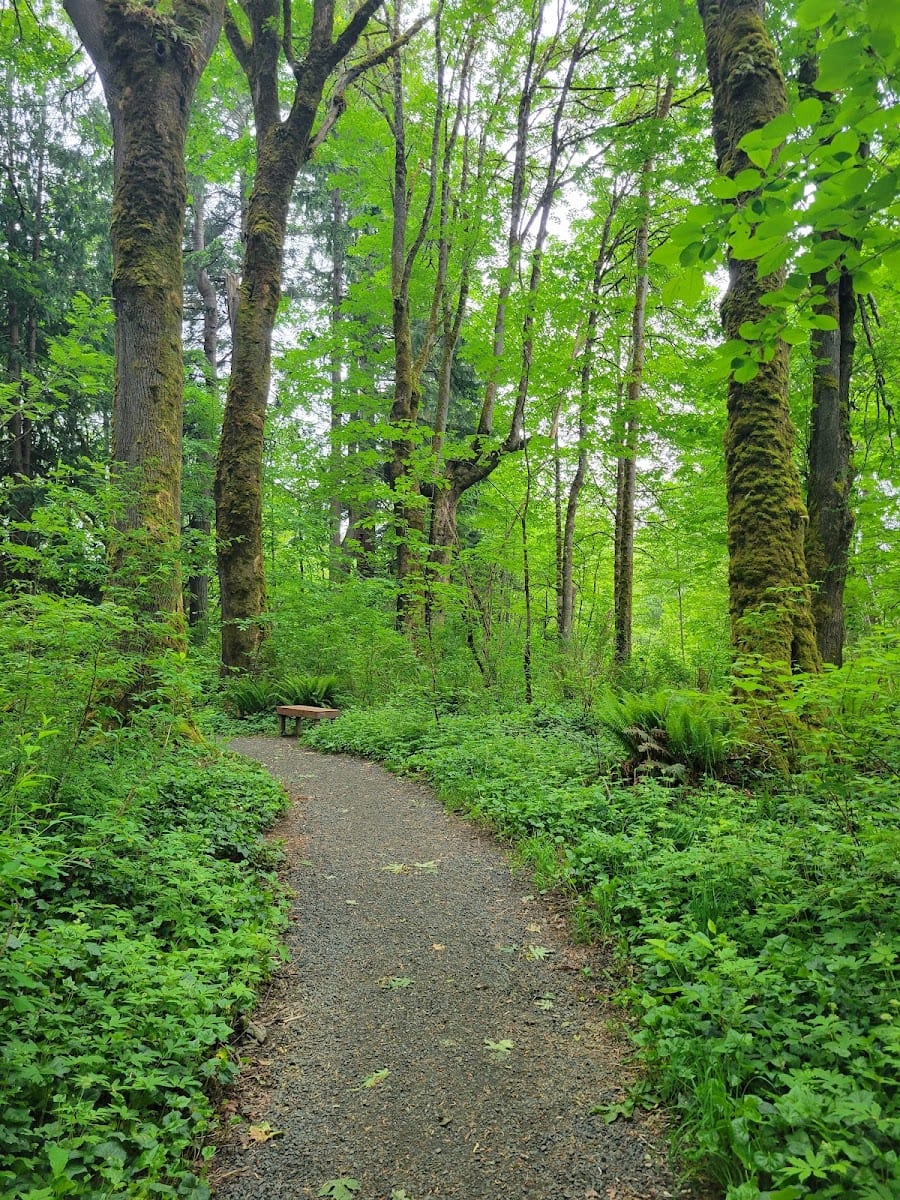 Mission Creek Nature Park