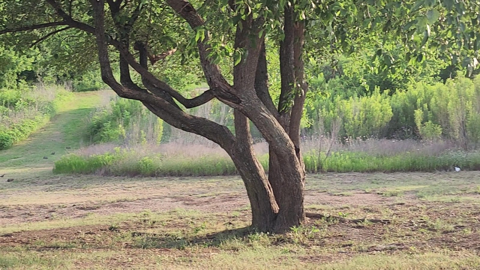 Beavers Bend Park, photo 2
