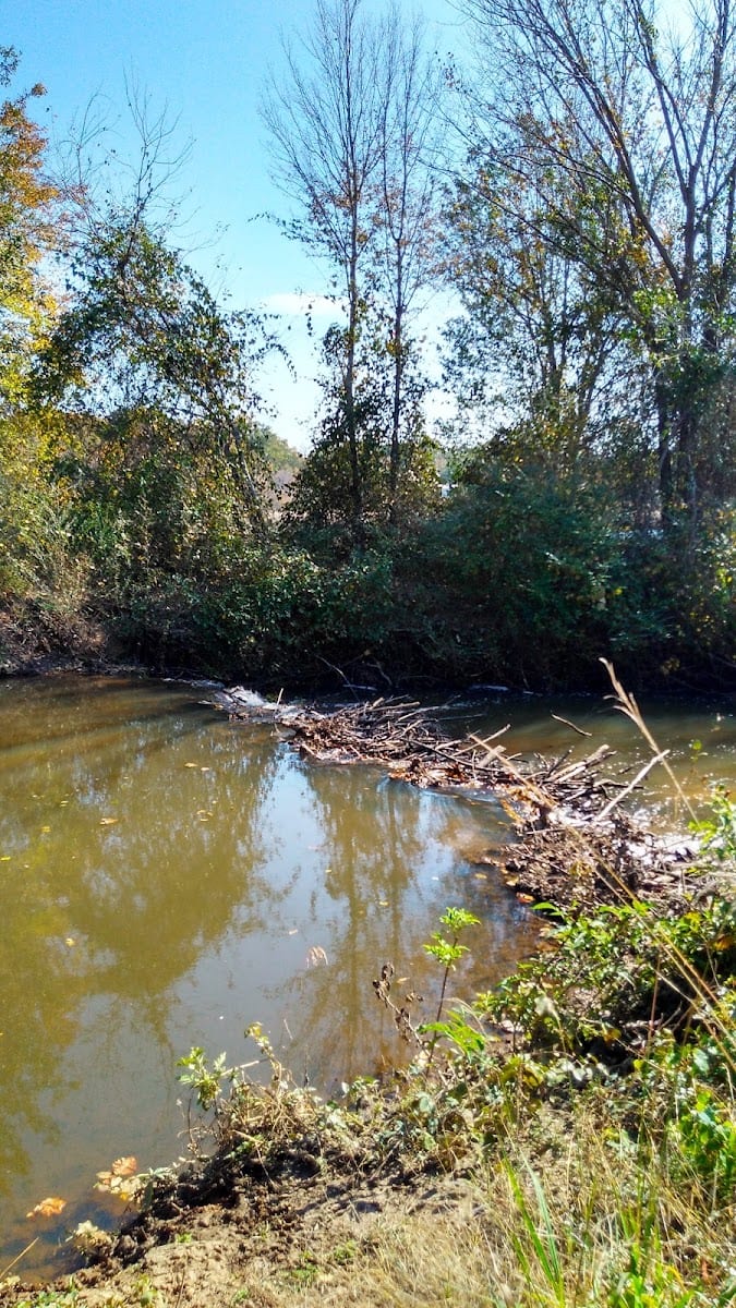 Rocky Creek Village, photo 3