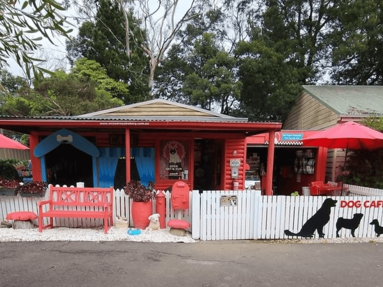 Miss Drew's Dog Cafe, photo 2
