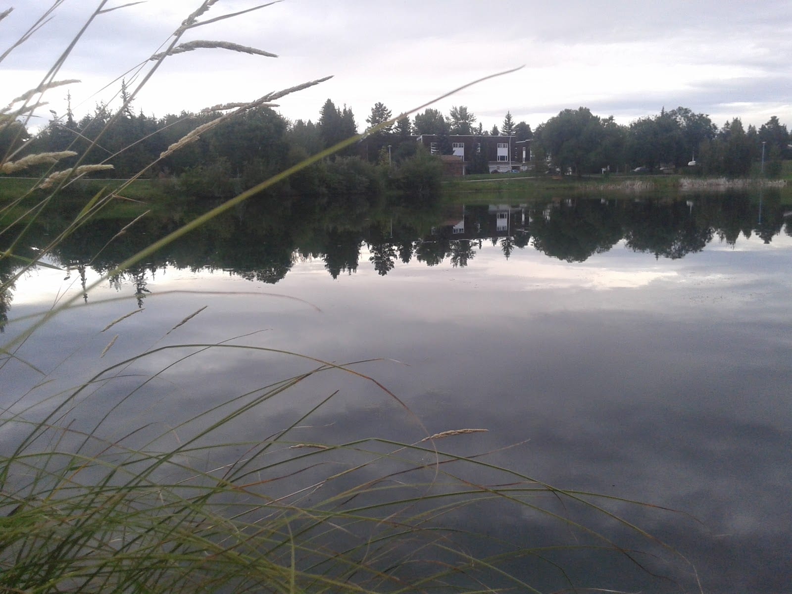 Strathcona County Recreation