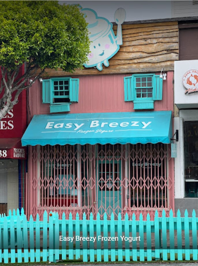 Easy Breezy Frozen Yogurt, photo 2