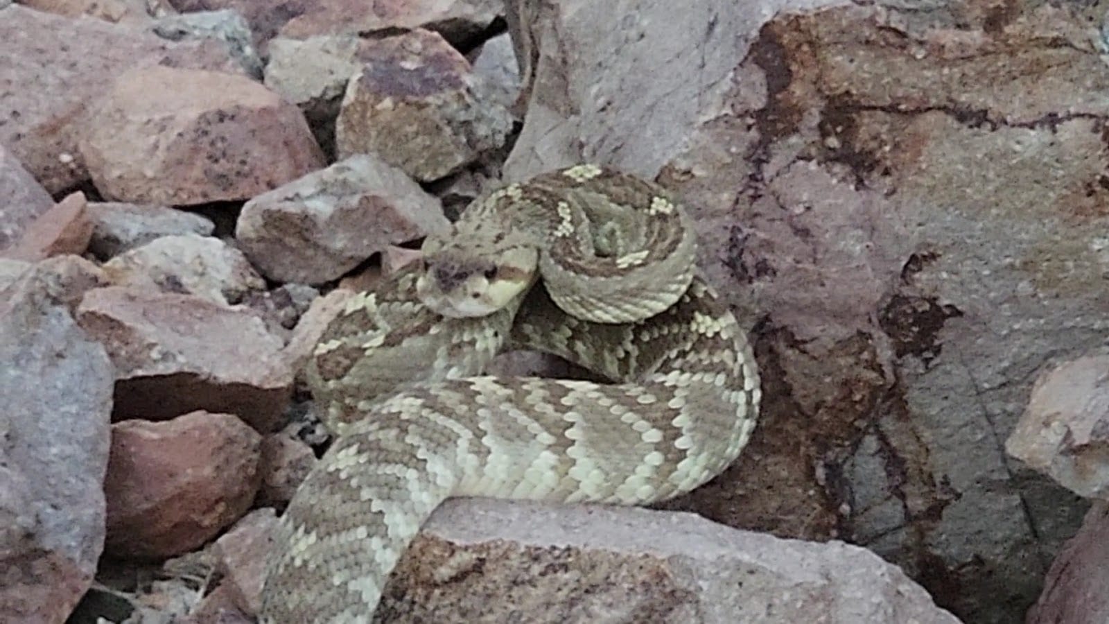 Mine Mountain, photo 3
